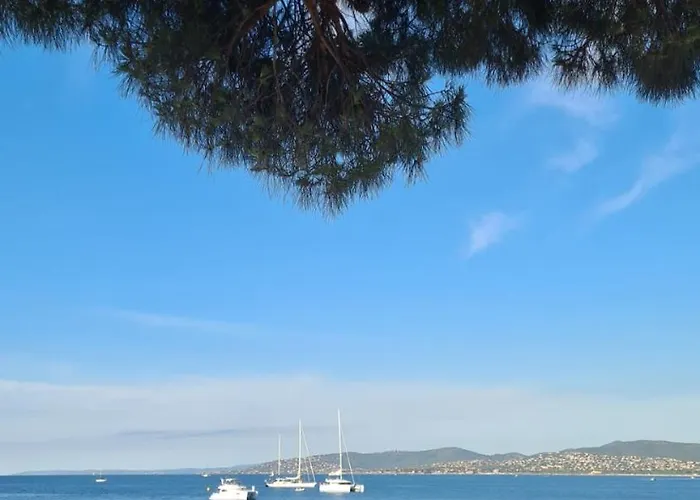 Raphael, Bel En Centre !